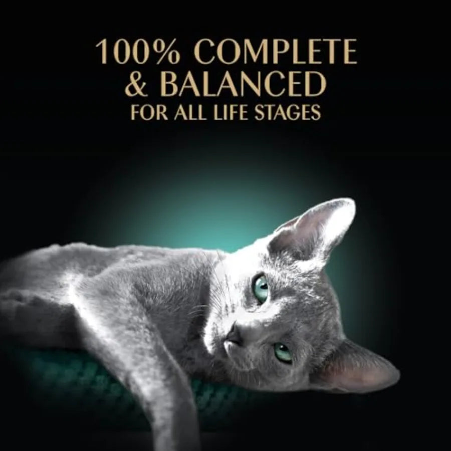 Gourmet Cat Dinner Delight
